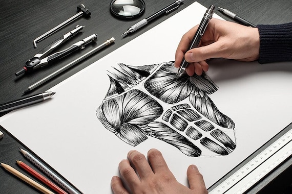 Pencil drawing: Learn to sketch with pencil