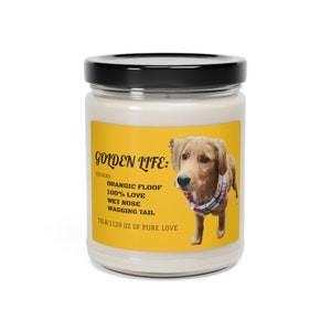 GOLDEN LIFE:  Scented Soy Candle, 9oz (thegoldentailsofdrwatson)