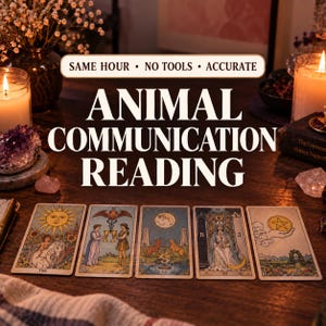 May include: A set of five tarot cards laid out on a dark wooden surface with the text "SAME HOUR • NO TOOLS • ACCURATE" and "ANIMAL COMMUNICATION READING" displayed in white, accompanied by candles, crystals, and dried flowers.