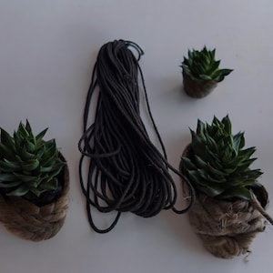Puede incluir: Tres pequeñas suculentas en maceta con hojas verdes y macetas envueltas en cuerda marrón, y un carrete de cordón negro.