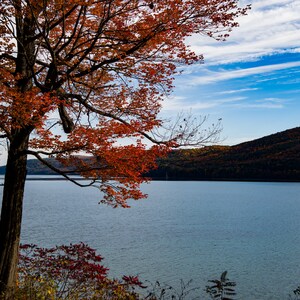 Fall Foliage - Autumn In Cooperstown New York in High Definition