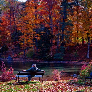 Fall Foliage - Autumn In Cooperstown New York in High Definition