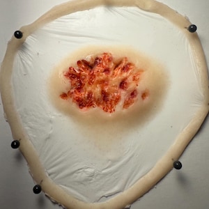 May include: A prosthetic wound with a central area of exposed, red tissue surrounded by a pale, flesh-toned material. The wound is pinned to a white surface with black pins, creating a realistic effect for special effects or makeup.