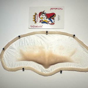 May include: A clear, flesh-toned prosthetic nose with a light beige border, secured with black pins. A playing card with a joker illustration is placed above the prosthetic. The card reads "JOKER" and "POKER".