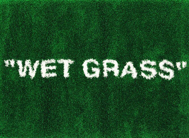 Off white wet grass cheap