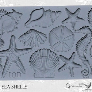IOD Mould Sea Shells 