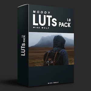10 Moody LUTs for Adobe Premiere Pro