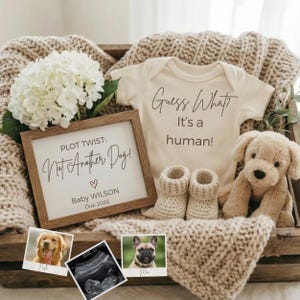 May include: A wooden crate holds a cream-colored onesie with the text "Guess What? It's a human!" and a framed sign that reads "PLOT TWIST: Not Another Dog!" with "Baby WILSON Due 2026." A plush puppy, baby booties, and photos of dogs complete the announcement.