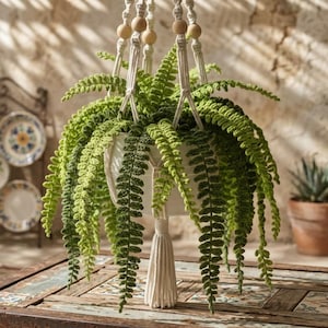 Virkat mönster för krukväxt, realistisk hängande växt (PDF-nedladdning)