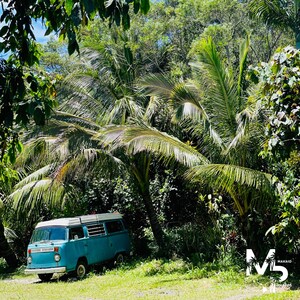 Hawaiian Volkswagen Bus