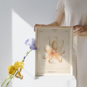 Vintage Octopus Digital Print – Cephalopod Illustration (1850s Scientific Art)