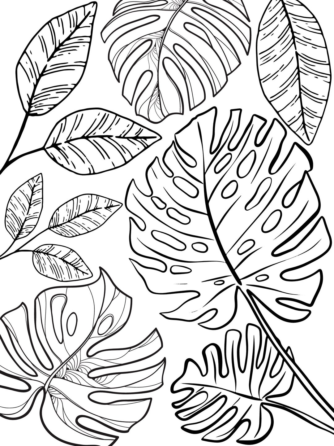 Plant Colring In Plant Coloring Page, Instant Download, Kid's Coloring, Adult Coloring ...