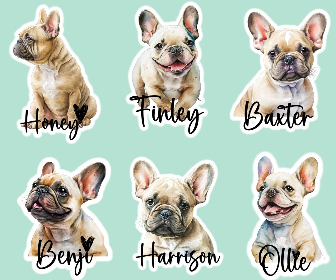 Set of 6 Personalized Dog Stickers/water Resistant Etsy