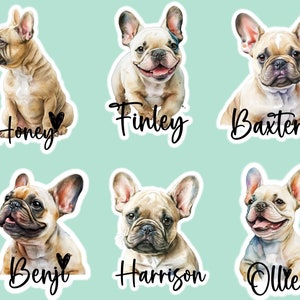 Set of 6 Personalized Dog Stickers/Water Resistant Stickers/Dog Lover Sticker Set/Dog Mom Stickers/Dog Dad Sticker/Custom Dog Stickers