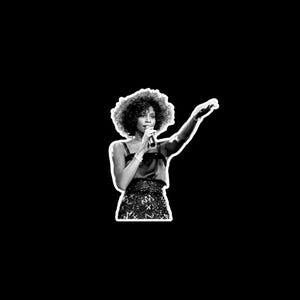 Whitney Houston Sticker