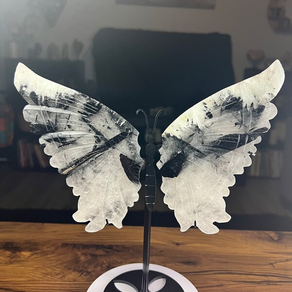 Black Tourmaline Crystal Butterfly Wings on Custom Stand