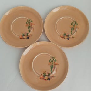 May include: Three peach-colored ceramic plates with a central design. Each plate features a painted illustration of a potted plant, flowers, and a small orange fruit. The plates are arranged in a triangular pattern.