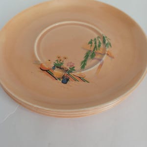 May include: A stack of peach-colored ceramic plates. Each plate has a painted design of a small garden scene with flowers, a watering can, and a tree branch. The plates have a ridged edge.