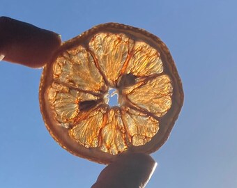 Decorative Dried Lemon Slices - 30 Count