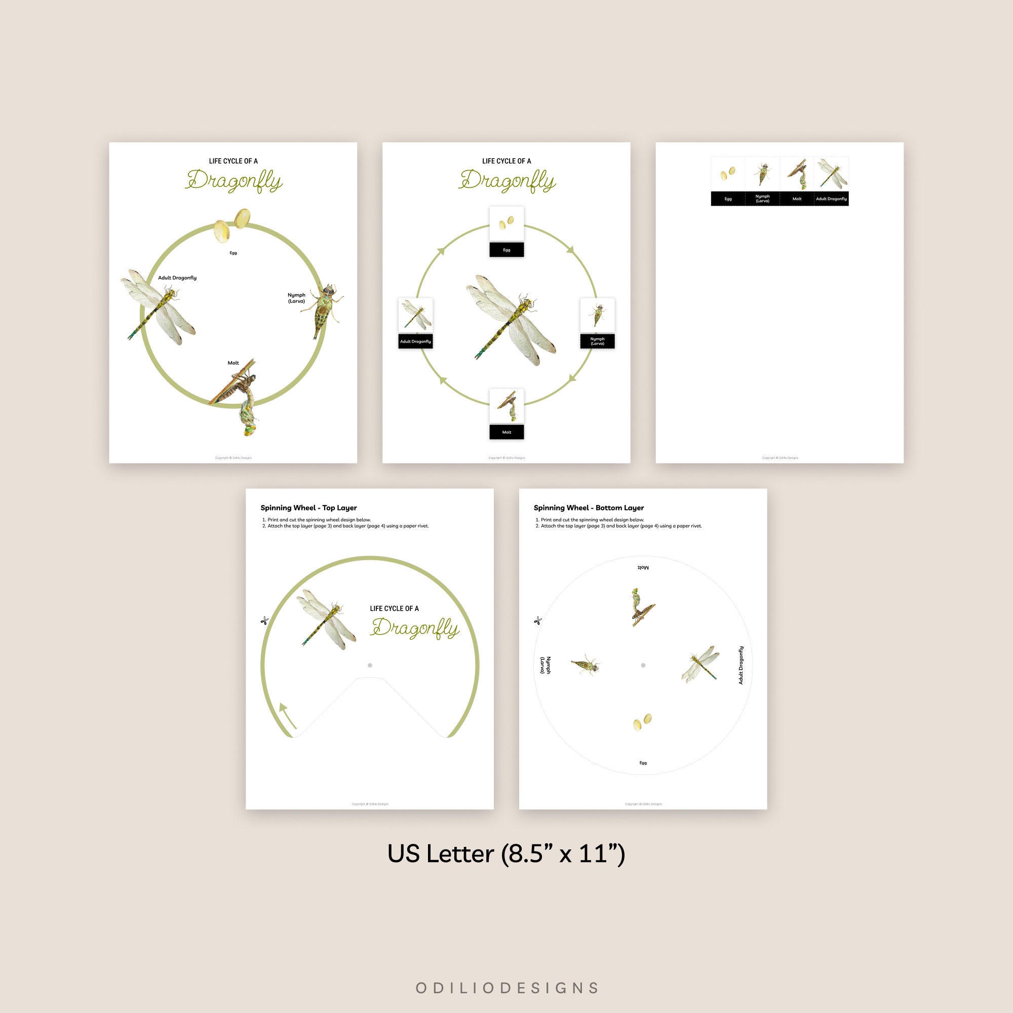 Dragonfly Life Cycle Diagram Puzzle Printable Busy Book - Etsy
