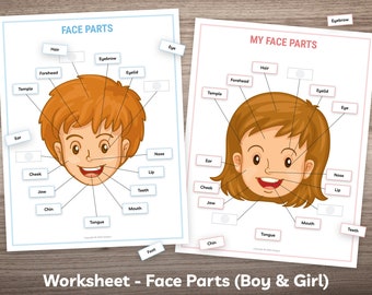 Face Parts Human Anatomy Printable Activity for Toddler Kindergarten Kids Worksheet Montessori Material Homeschool Resource Preschool Binder
