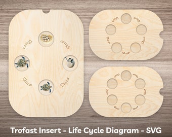 Flisat Life Cycle Tray Insert SVG Laser Cut File for Small Large Trofast Bins with 4 5 6 Steps for Plant Animal Figure Life Cycle Learning