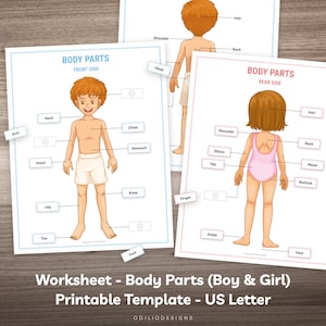 Printable Body Parts Worksheet and Human Anatomy Activity for Toddler Kindergarten Kids Montessori Material Homeschool Learning Busy Book