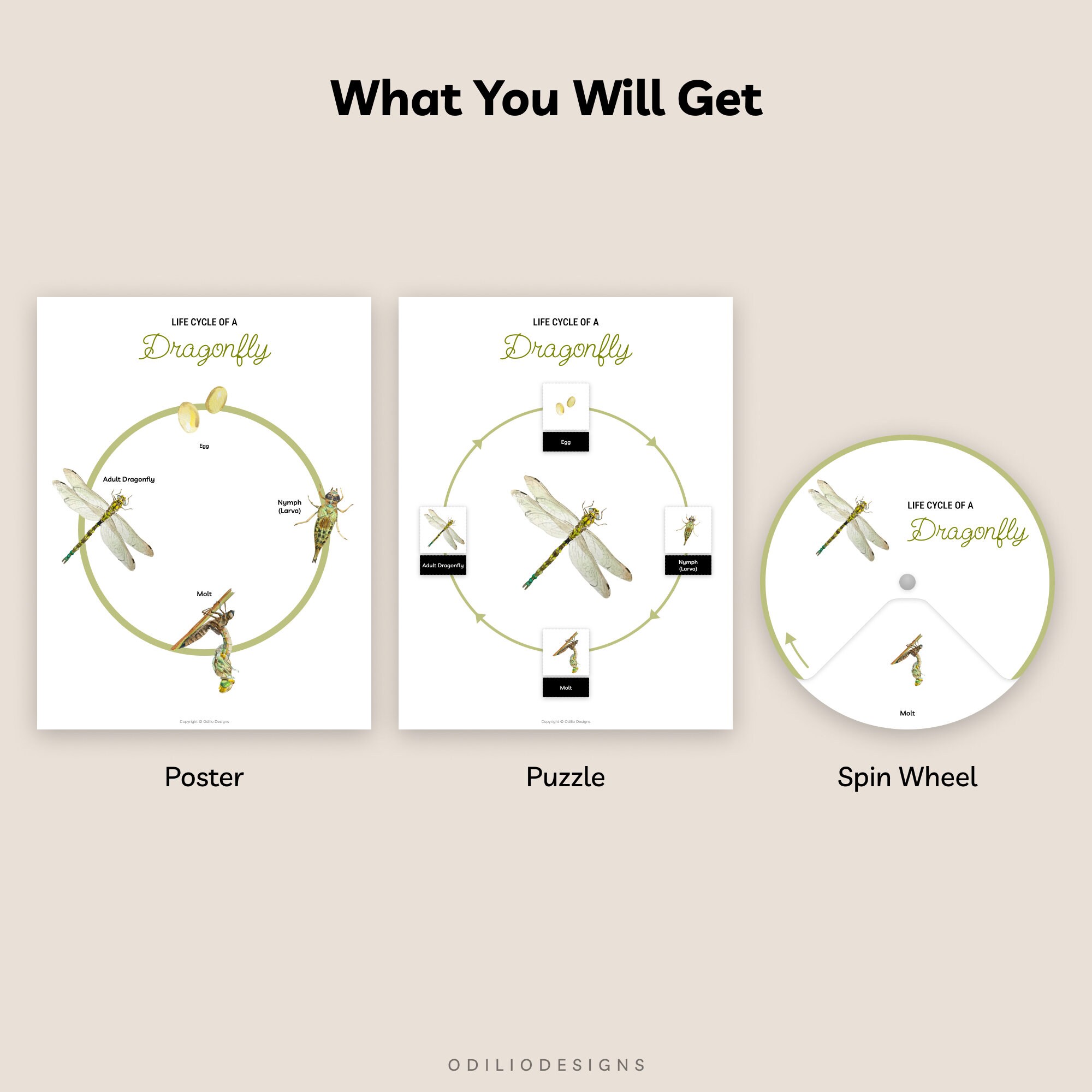 Dragonfly Life Cycle Diagram Puzzle Printable Busy Book Worksheet for ...