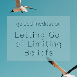 May include: A guided meditation on letting go of limiting beliefs, with a blue sky and two seagulls flying overhead.