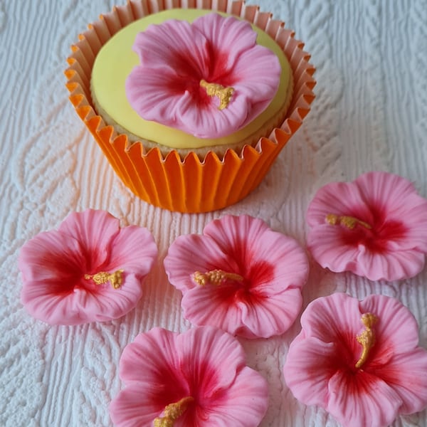 Set of 6 Fondant Hibiscus flowers Beach Hawaiian Theme Cake Decorations DIY