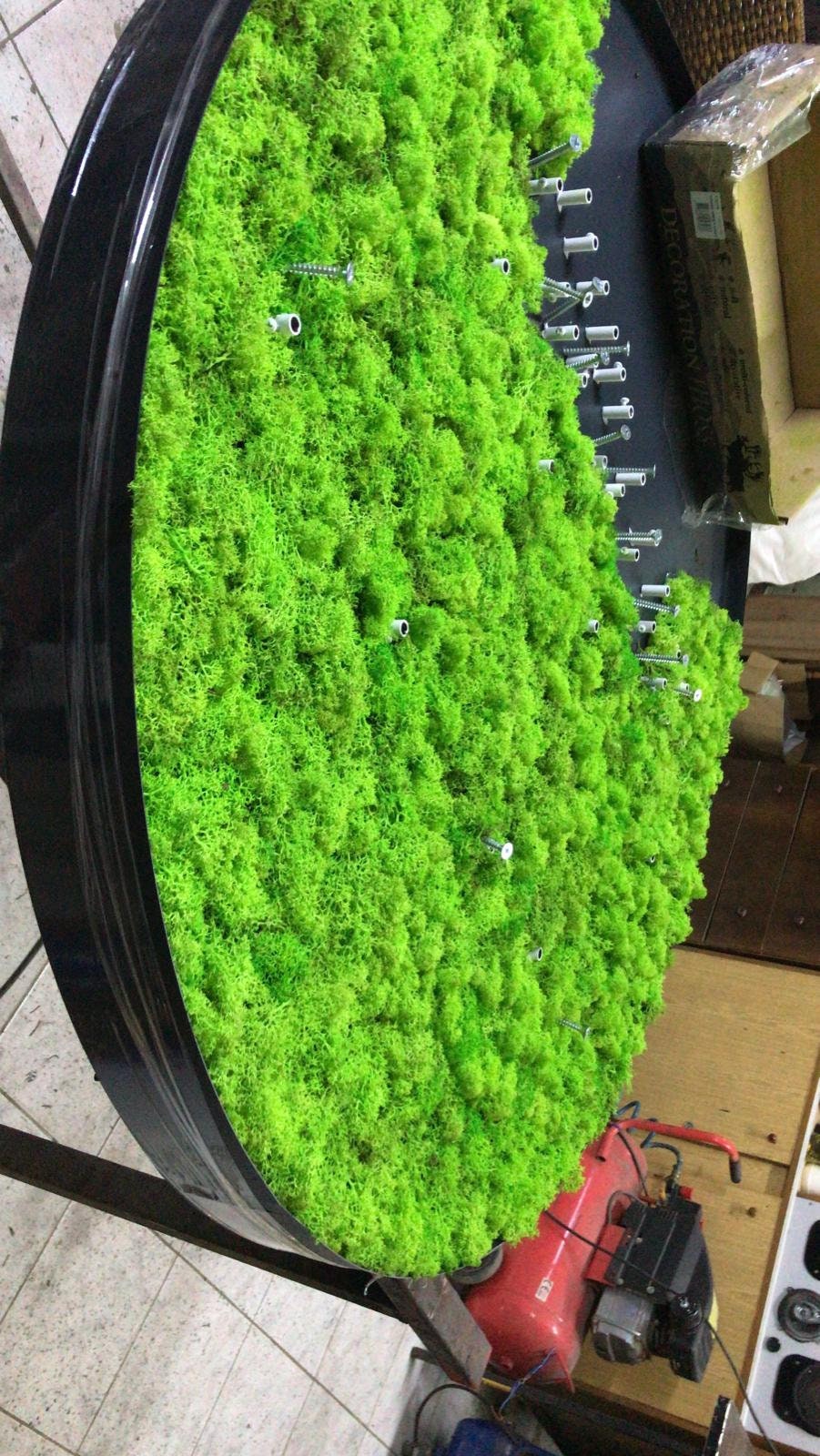 Real Moss Live Moss Art Real Moss Decor Moss Art Moss Etsy