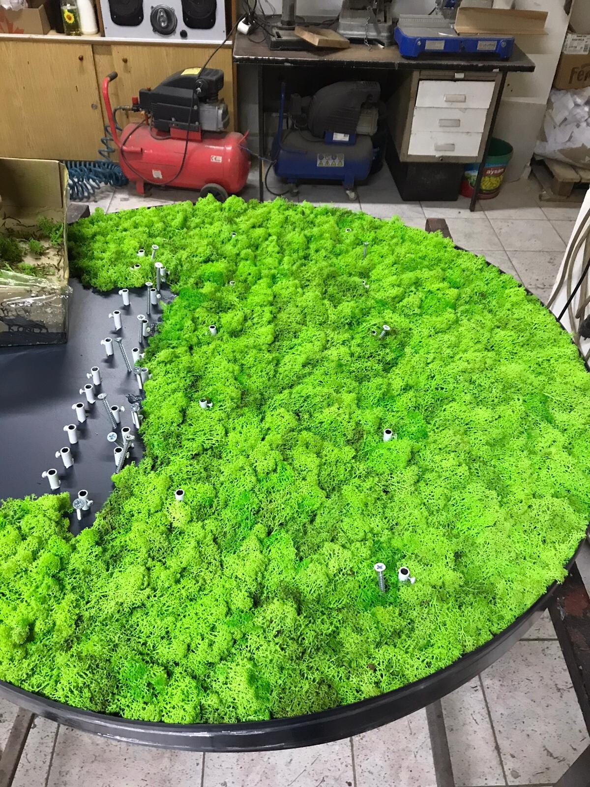 Real Moss Live Moss Art Real Moss Decor Moss Art Moss Etsy