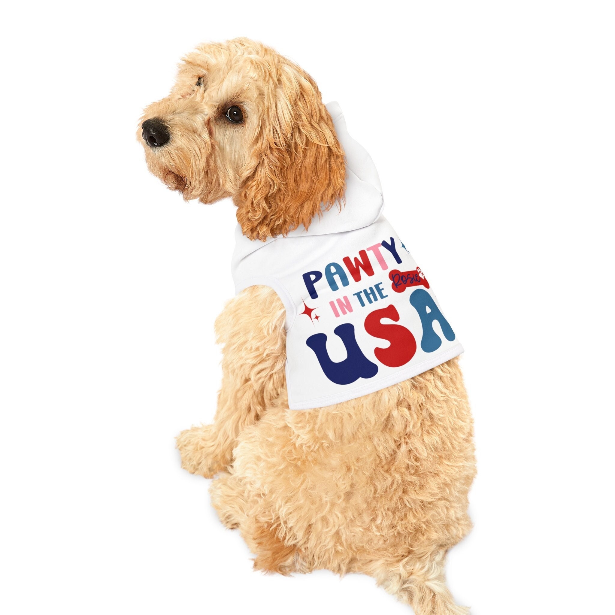 Personalized Happy Djibouti Zip Hoodie Independence Day By