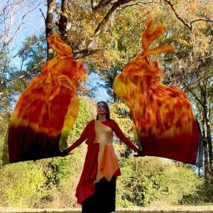 May include: A person in a red, gold, and black costume holds two large, flowing flags. The flags are a blend of red, orange, and yellow, resembling flames. The background features trees with autumn foliage and a grassy area.