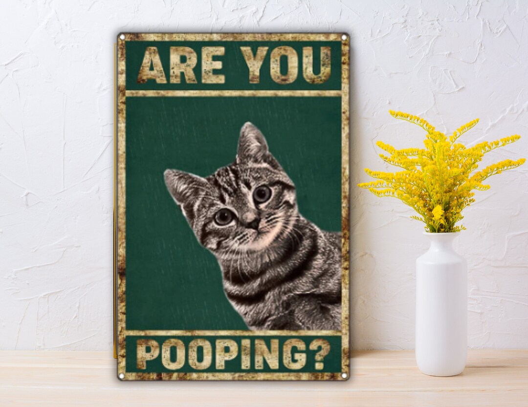 Tin Sign Are You Pooping Bathroom Sign Restroom Aluminum Vintage Sign ...