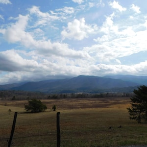 Cades Cove Tennessee