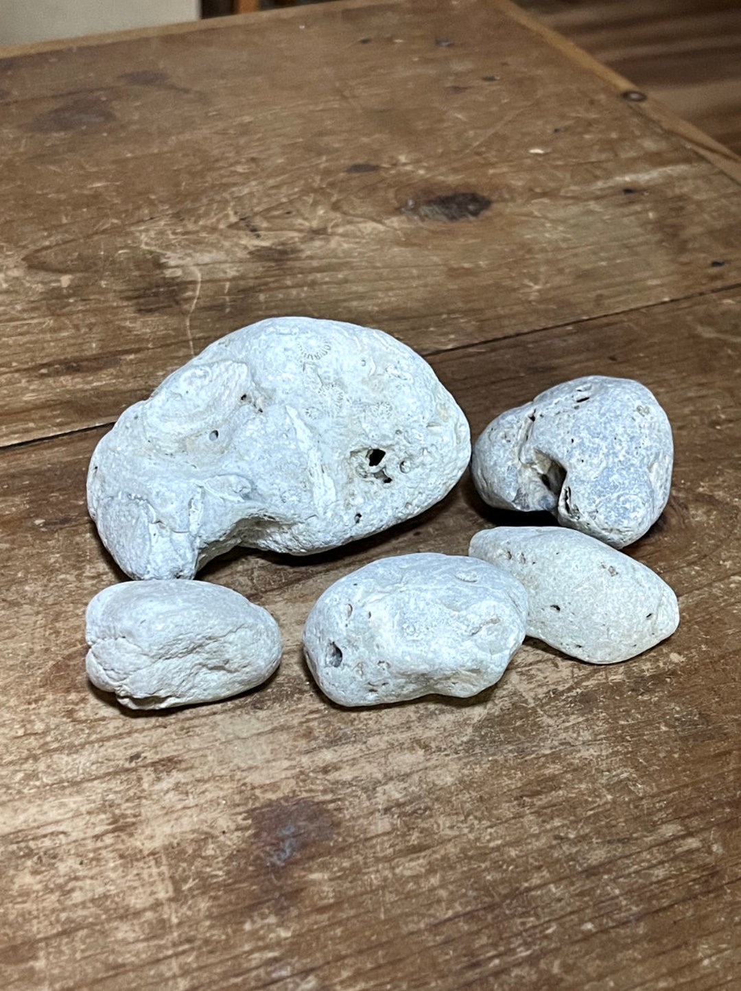 Native Ohio Rocks Natural Ohio Rocks for Decorating- Light Colored Rough Stones With ...
