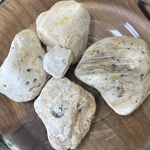 Decorative Natural Stone for Tanks- Large Light / White Stone Set