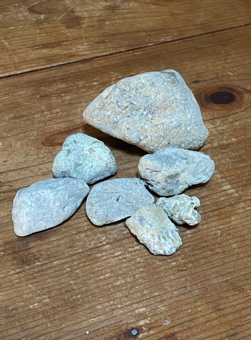 Ohio 4 Rocks Natural Ohio Rocks for Tank Decorating- Stones With Sea Coral Fossils ...