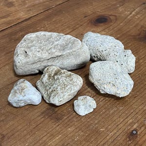 Ohio Large Rocks Natural Ohio Rocks for Tank Decorating- Porous Quartzite and Large ...