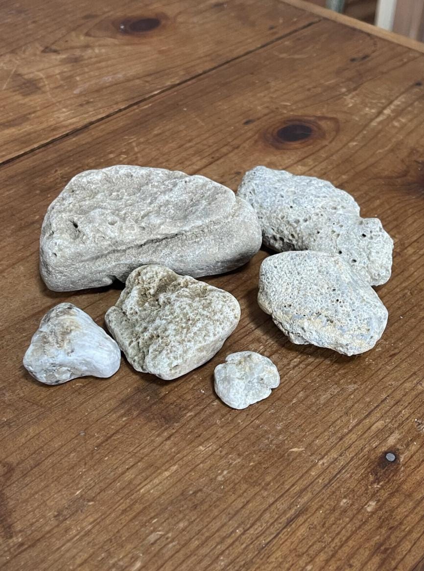 Ohio Large Rocks Natural Ohio Rocks for Tank Decorating- Porous Quartzite and Large ...