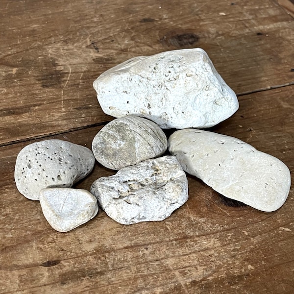 Lot of Natural Ohio River Rocks For Decorating- Large Porous Tan Stones