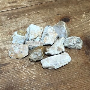 Natürliche Ohio Rocks Zum Dekorieren - Fantastische Mischung aus Chert Stücken mit etwas Achat