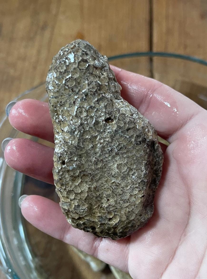 Natural Ohio Rocks for Tank Decorating- Porous Quartzite and Large ...