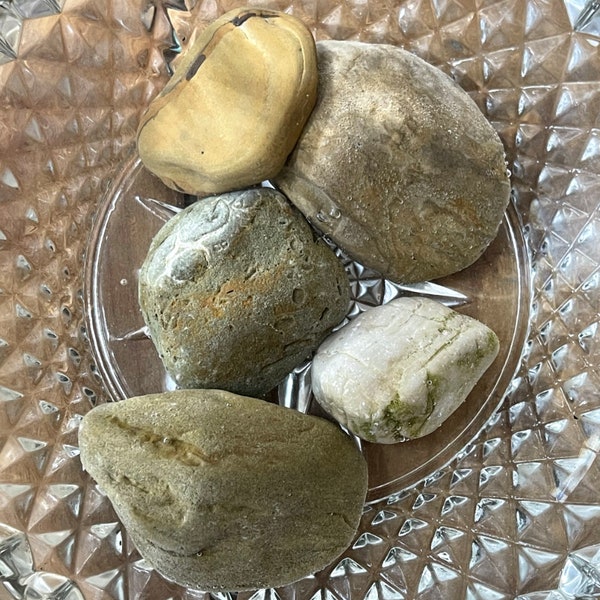 Lot of Natural Ohio River Rocks For Decorating- Weird and Cool Mix Matched Rocks