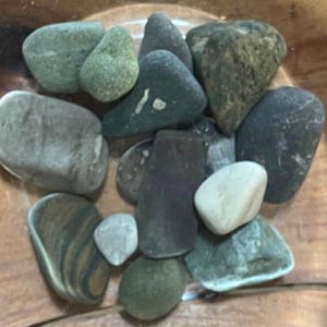 Natural Ohio Rocks For Decorating- Gray Riverstones for Aquarium Terrarium-Pots