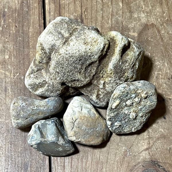 Lot of Natural Ohio River Rocks For Decorating- Super Funky Chunks with Fossils
