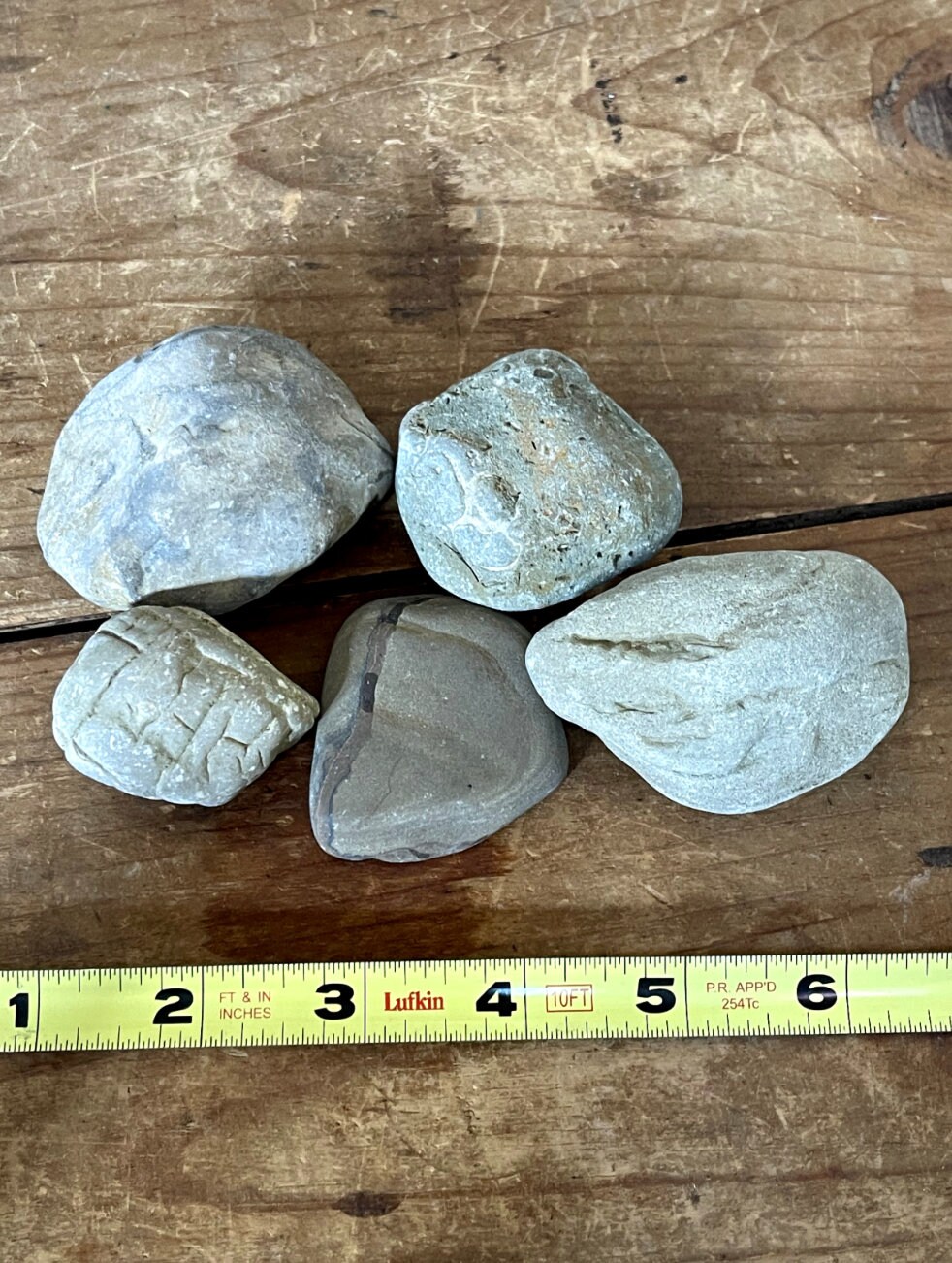 Ohio Large Rocks Lot of Natural Ohio River Rocks for Decorating- Weird and Cool Mix ...
