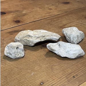 Decorative Tank Rocks - Super Cool Large Layered Stone Set Lizard Fish