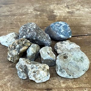 Lot of Mix Matched Funky Rocks - Conglomerations Agate Chert Aquarium Terrarium